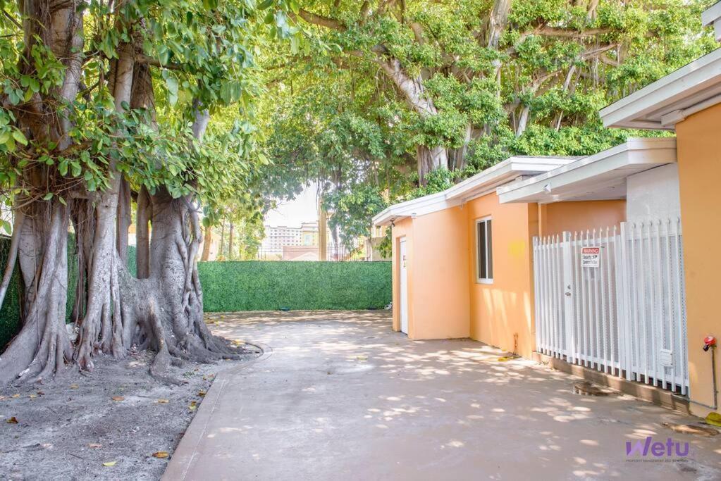 Apartamento Hidden Gem Apt/Near Downtown Miami & Brickell Exterior foto